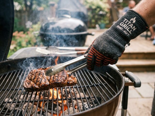 Best Grill Gloves